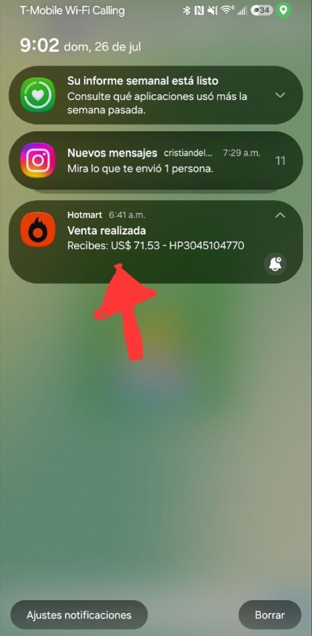 Notificación de venta de Hotmart señalada con una flecha por el propio franquiciado